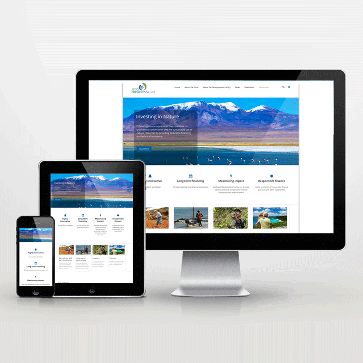 Website Neugestaltung im Responsive Design für den ecobusiness-fund - inspiras webagentur